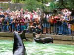 Die Ausbildung als Tierpfleger im Krefelder Zoo (Quelle: Zoo Krefeld)