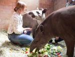 Für die Ausbildung wichtig: keine Angst vor Tieren (Quelle: Zoo Krefeld)