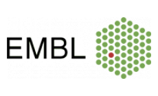 Logo Ausbildungsbetrieb "EMBL Europäisches Laboratorium für Molekularbiologie"